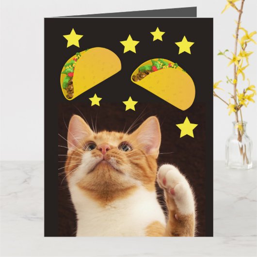 CAT TACO SPACE AVEC CARTES D'ANNIVERSAIRE GÉANTES (Fleur jaune)
