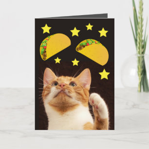 CAT TACO SPACE AVEC CARTES D'ANNIVERSAIRE TACOS