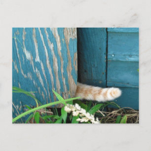 Cat Tail-kalender ~ briefkaart