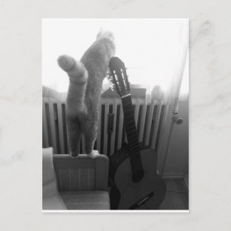 Cat Tail. Zwart/wit Briefkaart