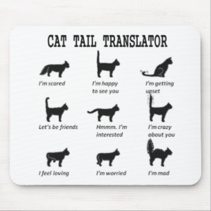 CAT-TAILTRANSLATOR MUISMAT