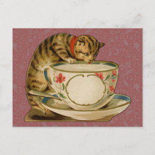 Cat Teacup Schattige Victoriaans Briefkaart