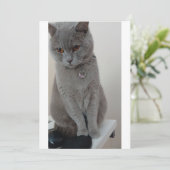 CAT-test Kaart (Staand voorkant)