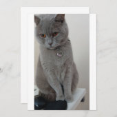 CAT-test Kaart (Voorkant / Achterkant)