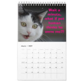 Cat Thoughts Kalender (Mar 2027)