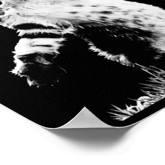 Cat Throwing Grenade Funny Kitty Cat Grenade Scene Poster (Hoek)