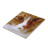 Cat Tile sluiten Tegeltje (Zijkant)