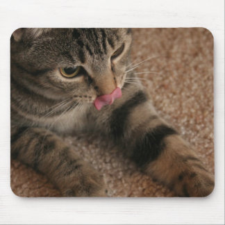 Cat Tongue Muismat