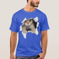 Cat Torn Cloth Kitten minkat