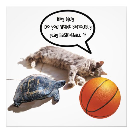 CAT, TURTLE EN BASKETBALL FOTO AFDRUK (Voorkant)