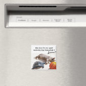 CAT, TURTLE EN BASKETBALL MAGNEET (Insitu (Vaatwasser))