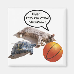 CAT, TURTLE EN BASKETBALL MAGNEET