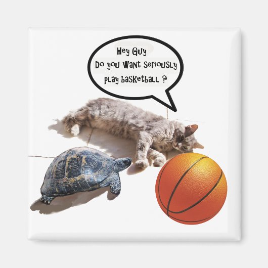 CAT, TURTLE EN BASKETBALL MAGNEET (Voorkant)