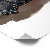 CAT, TURTLE EN BASKETBALL POSTER (Hoek)