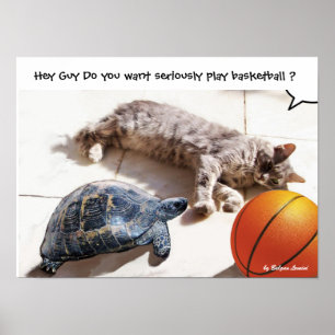 CAT, TURTLE EN BASKETBALL POSTER