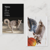 CAT, TURTLE EN BASKETBALL VISITEKAARTJE (Voorkant / Achterkant)