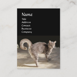 CAT, TURTLE EN BASKETBALL VISITEKAARTJE