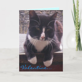 Cat Valentijnsdag kaart