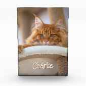 Cat Vertical Portrait Photo Schattige Letternaam Fotoblokken (Voorkant)