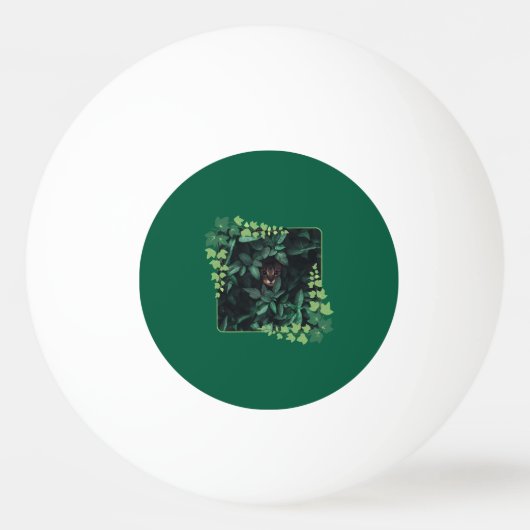  Cat vibes  Pingpongballen (Voorkant)