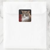 CAT VIERKANTE STICKER (Tas)