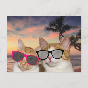 CAT VOOR NAMENS VACATIE-Briefkaarten VOOR "CAT COU Briefkaart