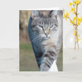 Cat Walk Kaart (Gele Bloem)