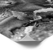 cat wall art poster (Hoek)