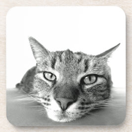 Cat Watching Onderzetter