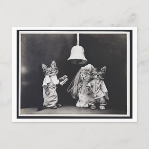 Cat Wedding Oddity Briefkaart