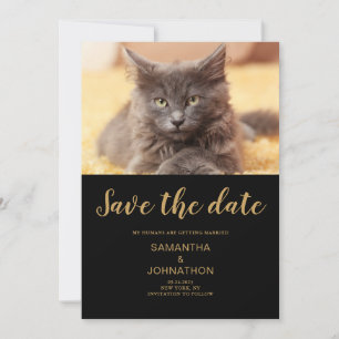 Cat Wedding Photo Flat Save the Date Kaart