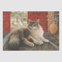 CAT-WEEFSELPAPIER TISSUEPAPIER