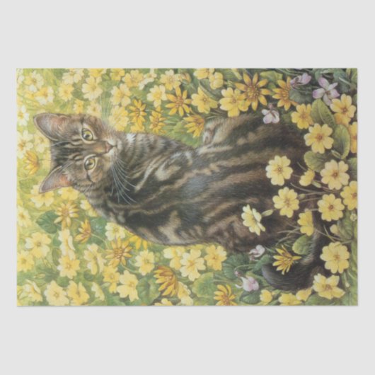 CAT-WEEFSELPAPIER TISSUEPAPIER (Voorkant)