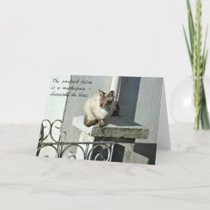 Cat Wenskaart met Quote Kaart