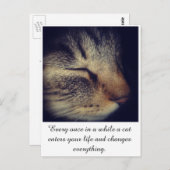 Cat White quote op Briefkaart (Voorkant / Achterkant)
