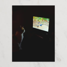 Cat Who Loves His Screentime Postcard Briefkaart