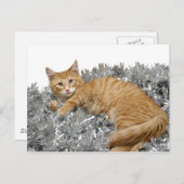 Cat Who me? Briefkaart (Voorkant / Achterkant)