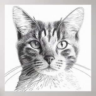 Cat Wild Natuur Dier Illustratie Art Tekening Poster