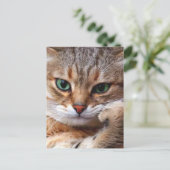 Cat with attitude briefkaart (Staand voorkant)