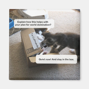 Cat World Domination Magnet Magneet