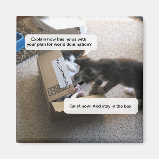 Cat World Domination Magnet Magneet (Voorkant)