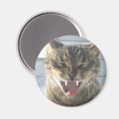 Cat Yawn Magneet (Voorkant / Achterkant)