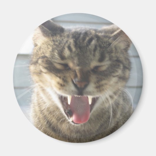 Cat Yawn Magneet (Voorkant)