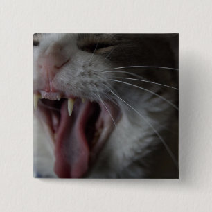 Cat Yawning Vierkante Button 5,1 Cm