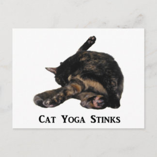 Cat Yoga Stinks Briefkaart