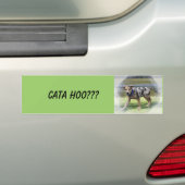CATA HOO??? Bumpersticker (Op auto)