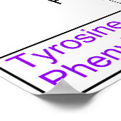 Catabolisme van proteïnogene aminozuren Diagram Poster (Hoek)