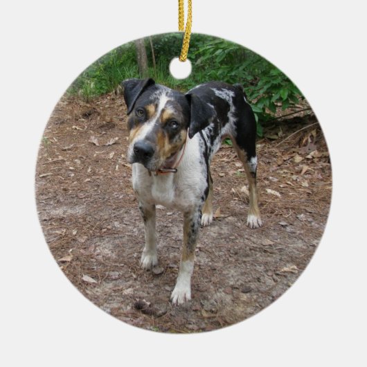 Catahoula Kerstmis Keramisch Ornament (Voorkant)