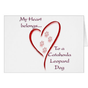 Catahoula Leopard Chien Coeur Appartient