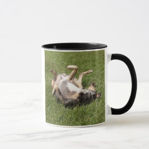 Catahoula Leopard Hond Rolling In Grass Mok